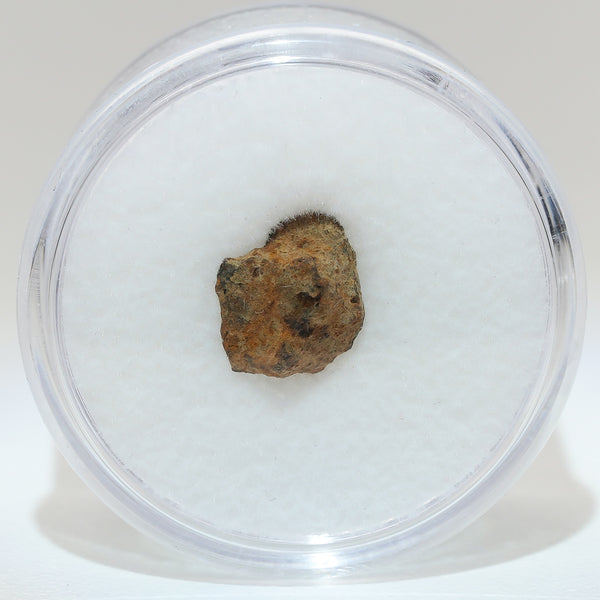 Gibeon Meteorite with Desert Patina from Namaland, Namibia, .6g