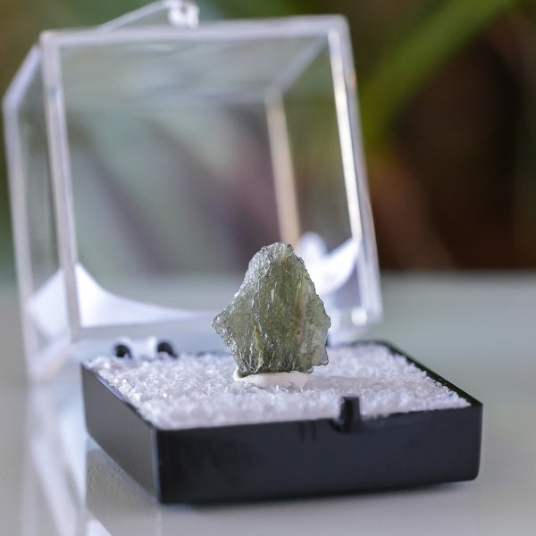 Moldavite with Collectors Box from Chlum, Czech Republic, 3.5ct