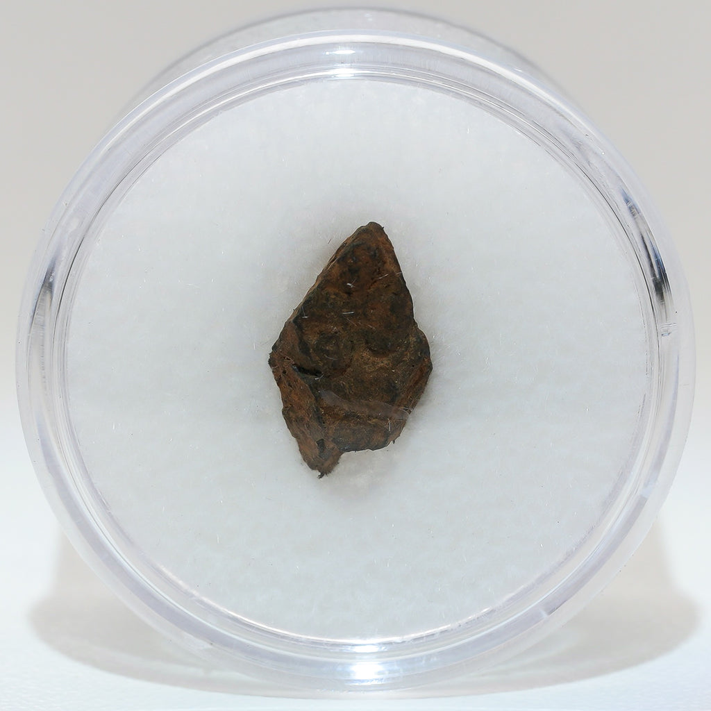 Gibeon Meteorite with Desert Patina from Namaland, Namibia, 1g