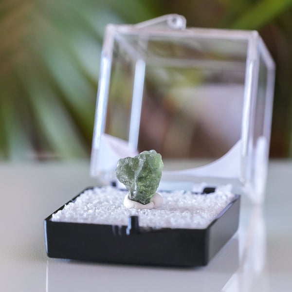 Moldavite with Collectors Box from Chlum, Czech Republic, 3ct