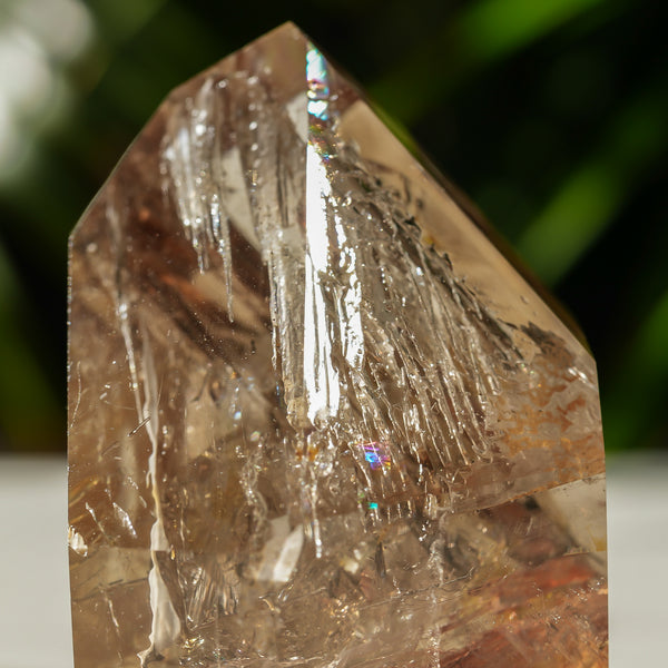 Golden Window Quartz Crystal from Brazil, 312g