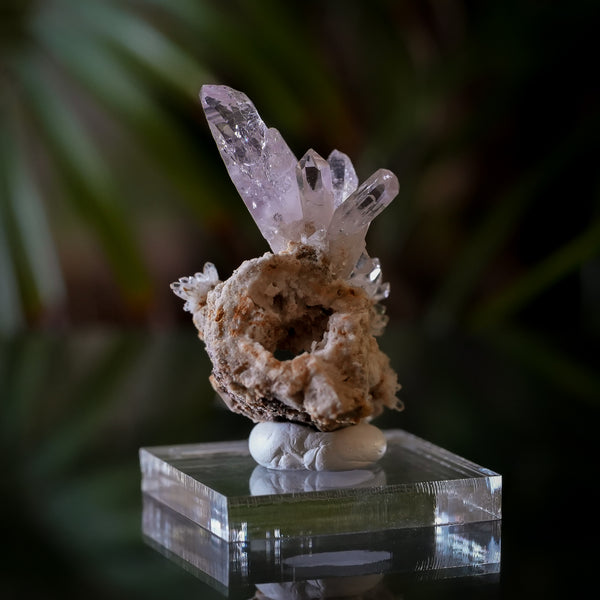 Veracruz Amethyst from Piedra Parada, Veracruz, Mexico, 19.9