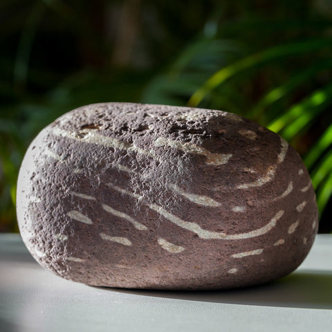 Zebra Rock from Kununurra, Western Australia, 1.534kg