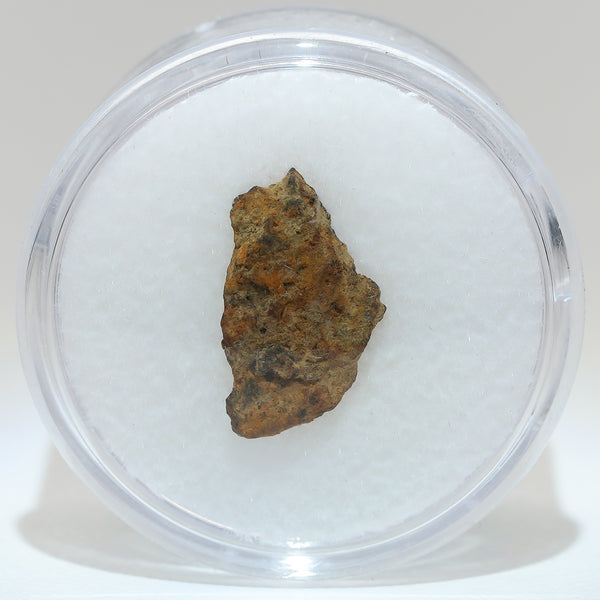 Gibeon Meteorite with Desert Patina from Namaland, Namibia, .8g